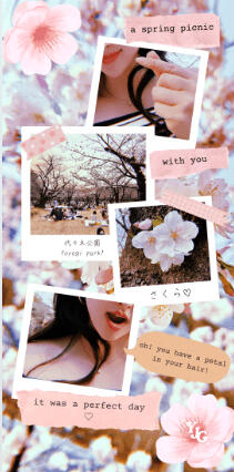 Cherry Blossom Wallpaper